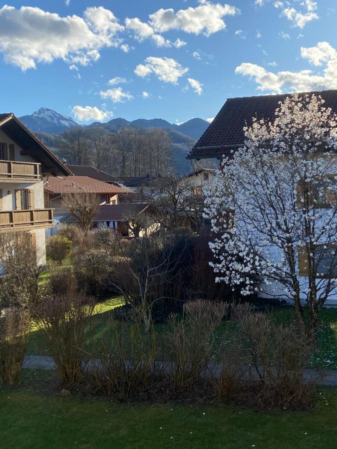Appartement Modern Eingerichtete Mit 2 Schlafzimmern *